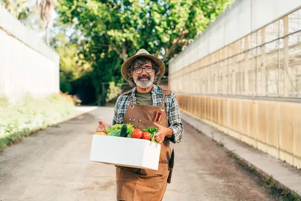 Contadino Anziano Che Lavora Nella Sua Fattoria Serra Concetto Agricoltura — Foto Stock