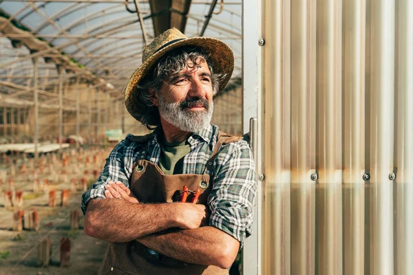 Farmář Starší Muž Pracující Jeho Farmě Skleníku Koncepce Zemědělství Farn — Stock fotografie