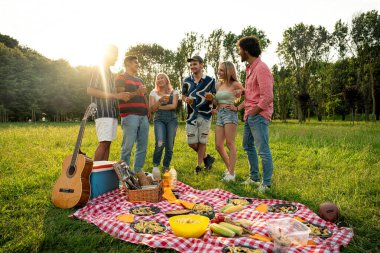 Çok ırklı bir grup genç parkta piknik yapmak için dışarıda zaman geçiriyorlar. Z kuşağı, yaşam tarzı ve arkadaşlık kavramları