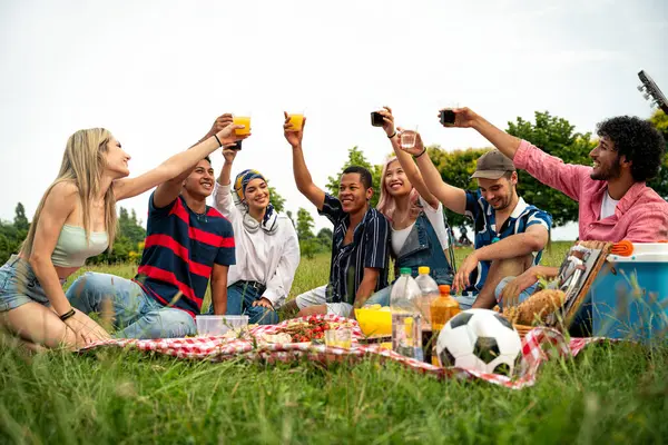 Çok ırklı bir grup genç parkta piknik yapmak için dışarıda zaman geçiriyorlar. Z kuşağı, yaşam tarzı ve arkadaşlık kavramları