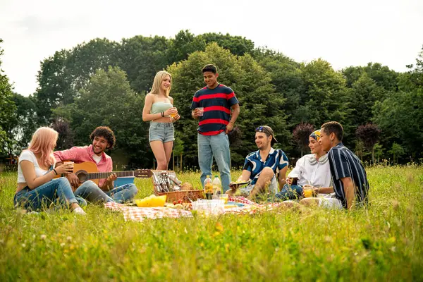 Çok Irklı Bir Grup Genç Parkta Piknik Yapmak Için Dışarıda — Stok fotoğraf