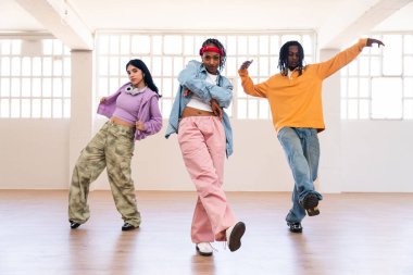 Çok ırklı hip-hop dansçılarından oluşan genç bir grup renkli sokak kıyafetleri giyip dans ediyorlar.