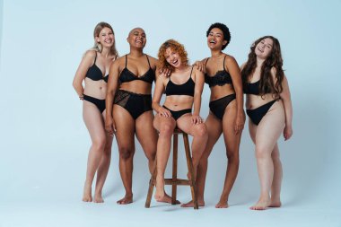 Çeşitliliği ve kendine saygıyı kutlamak için stüdyoda poz veren çok ırklı kadın iç çamaşırı giyen bir grup kadın. Vücut pozitifliği, özgünlük, kadın gücü ve beden kabulü kavramları.