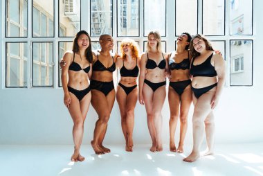 Çeşitliliği ve kendine saygıyı kutlamak için stüdyoda poz veren çok ırklı kadın iç çamaşırı giyen bir grup kadın. Vücut pozitifliği, özgünlük, kadın gücü ve beden kabulü kavramları.