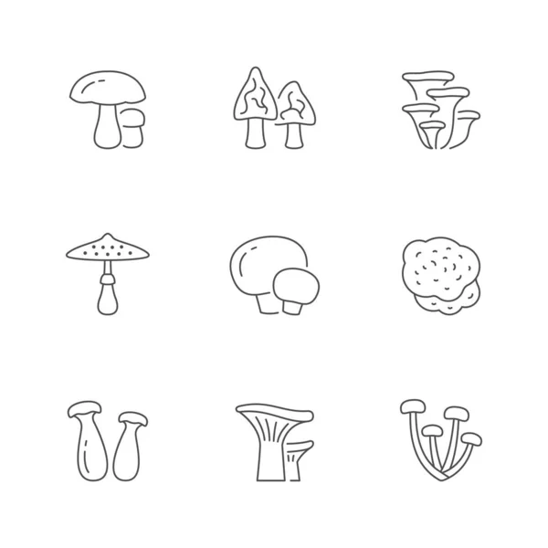 Setzen Sie Symbole Von Pilzen Isoliert Auf Weiß Steinpilze Morcheln — Stockvektor