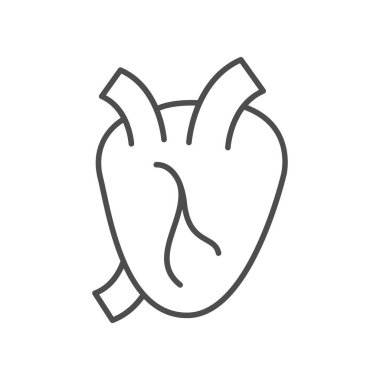 İnsan kalp çizgisi ana hatları beyaz üzerine izole edilmiş. Vektör illüstrasyonu