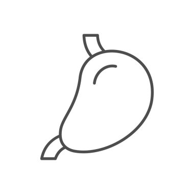 İnsan midesi ana hatları beyaz üzerine izole edilmiş. Vektör illüstrasyonu