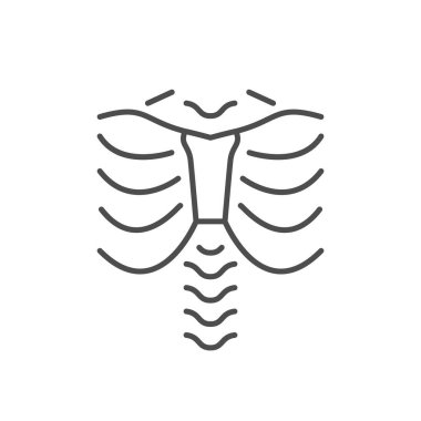 İnsan iskelet çizgisi ana hatları beyaz üzerine izole edilmiş. Vektör illüstrasyonu