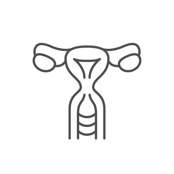 Woman Uterus Line Outline Icon Isolated White Vector Illustration — Stock Vector