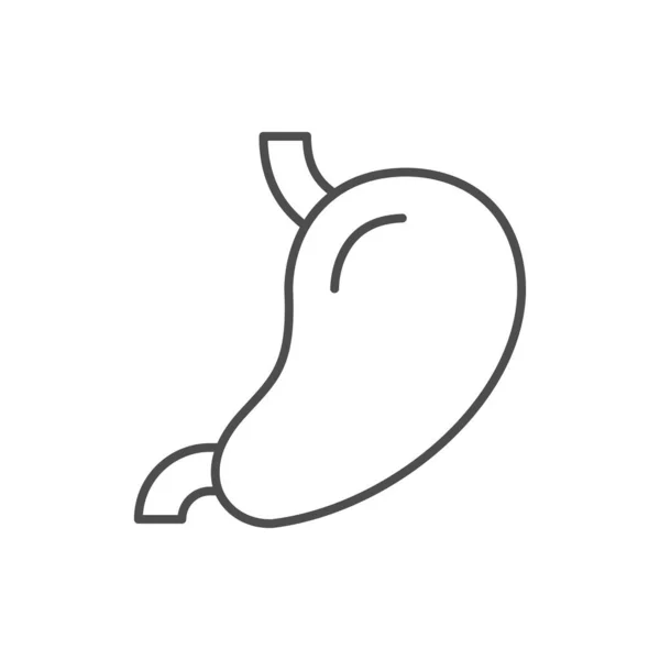 Human Stomach Line Outline Icon Isolated White Vector Illustration — Vettoriale Stock
