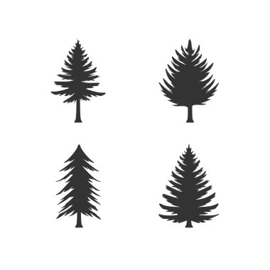 Çam ağacının sembollerini beyaza yalıt. Ladin, köknar ağacı, sedir ağacı. Vektör illüstrasyonu