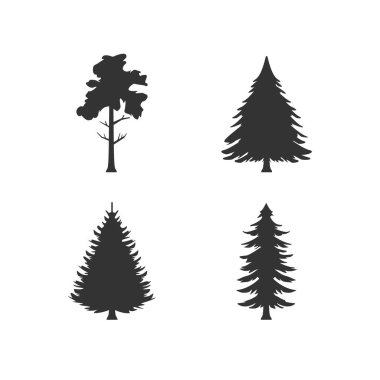 Çam ağacının sembollerini beyaza yalıt. Ladin, köknar ağacı, sedir ağacı. Vektör illüstrasyonu