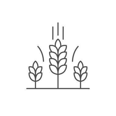 Buğday kulakları ana hatları beyaza izole edilmiş. Vektör illüstrasyonu