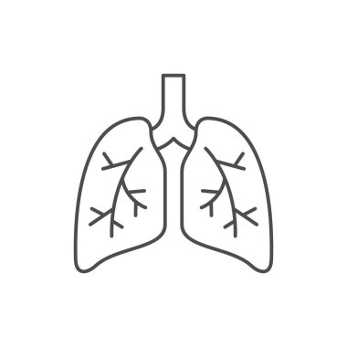 Bronşlu akciğerler beyaz üzerine izole edilmiş. Vektör illüstrasyonu