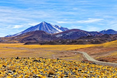 Atacama Çölü 'ndeki Altiplanik Göl' e giden manzara San Pedro de Atacama - Şili