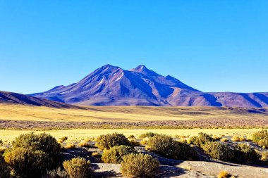 Atacama Çölü 'ndeki Altiplanik Göl' e giden manzara San Pedro de Atacama - Şili