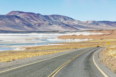 Atacama Çölü 'ndeki Altiplanik Göl' e giden manzara San Pedro de Atacama - Şili