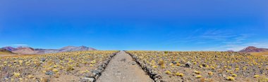 Piedras Rojas - Atacama Çölü - San Pedro de Atacama.