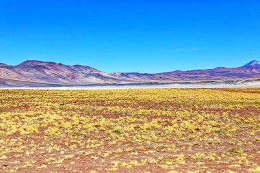 Piedras Rojas - Atacama Çölü - San Pedro de Atacama.