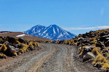 Atacama Çölündeki Minik Altiplanik Göl - San Pedro de Atacama.