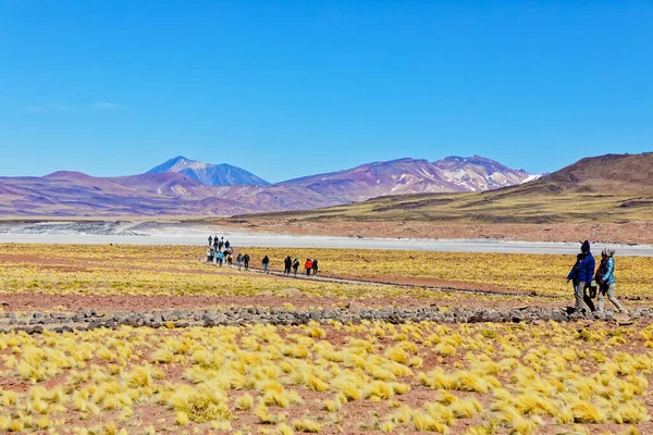 Piedras Rojas Atacamaöknen San Pedro Atacama — Stockfoto