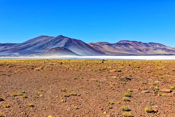 Piedras Rojas - Atacama Çölü - San Pedro de Atacama.