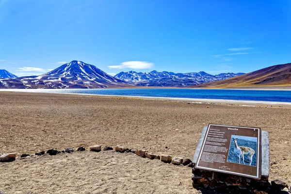 Die Lagune Von Miscanti Der Atacama Wüste San Pedro Atacama — Stockfoto