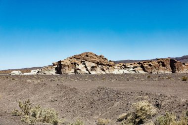 Yerbas Buenas Arkeolojik Alanı - Şili. Mağara Resimleri, Atacama Çölü. San Pedro de Atacama.