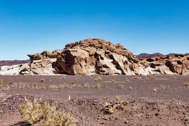 Yerbas Buenas Arkeolojik Alanı - Şili. Mağara Resimleri, Atacama Çölü. San Pedro de Atacama.