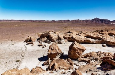 Yerbas Buenas Arkeolojik Alanı - Şili. Mağara Resimleri, Atacama Çölü. San Pedro de Atacama.
