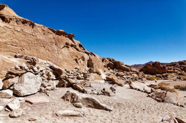 Yerbas Buenas Arkeolojik Alanı - Şili. Mağara Resimleri, Atacama Çölü. San Pedro de Atacama.