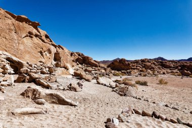 Yerbas Buenas Arkeolojik Alanı - Şili. Mağara Resimleri, Atacama Çölü. San Pedro de Atacama.