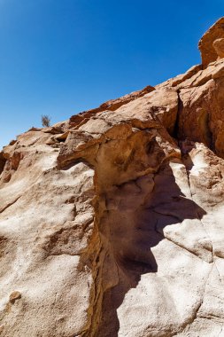 Yerbas Buenas Arkeolojik Alanı - Şili. Mağara Resimleri, Atacama Çölü. San Pedro de Atacama.