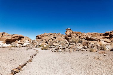 Yerbas Buenas Arkeolojik Alanı - Şili. Mağara Resimleri, Atacama Çölü. San Pedro de Atacama.