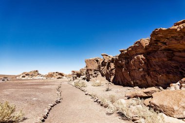 Yerbas Buenas Arkeolojik Alanı - Şili. Mağara Resimleri, Atacama Çölü. San Pedro de Atacama.