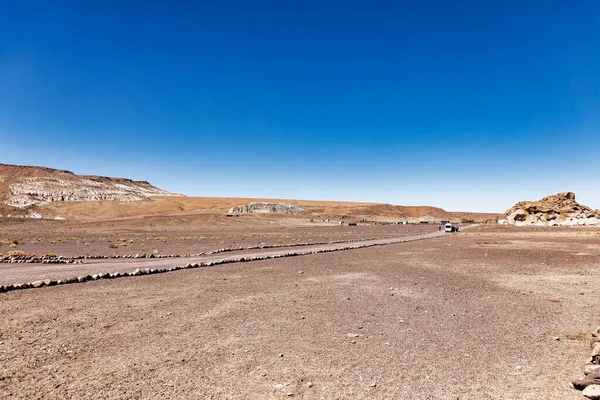 Site Archéologique Yerbas Buenas Chili Peintures Rupestres Désert Atacama San — Photo