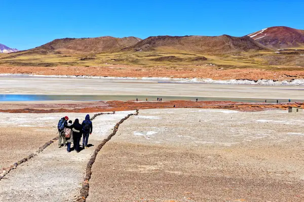 Piedras Rojas Atacama Wüste San Pedro Atacama Stockbild