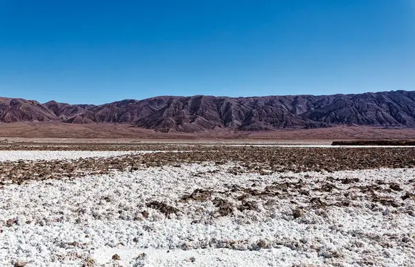 Paisaje Las Lagunas Baltinache Ocultas Desierto Atacama Chile — Foto de Stock