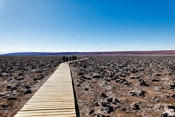 Paysage Des Lagunes Cachées Baltinache Désert Atacama Chili — Photo