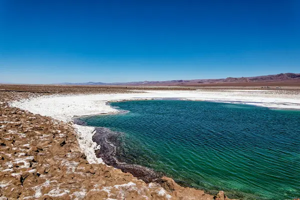 Paysage Des Lagunes Cachées Baltinache Désert Atacama Chili San Pedro — Photo