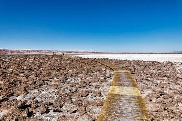 Landskap Dolda Baltinache Lagunerna Atacamaöknen Chile San Pedro Atacama — Stockfoto