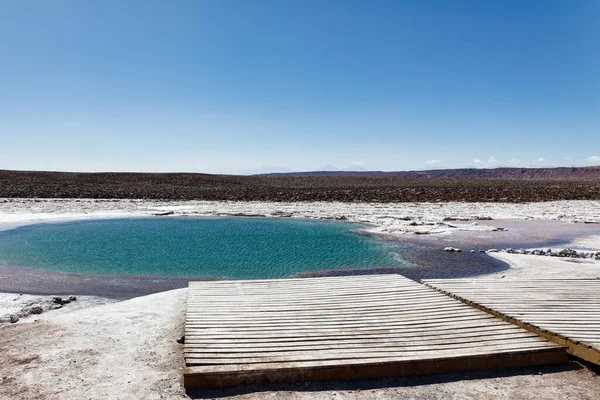 Peisajul Lagunelor Ascunse Baltinache Deșertul Atacama Chile San Pedro Atacama — Fotografie, imagine de stoc