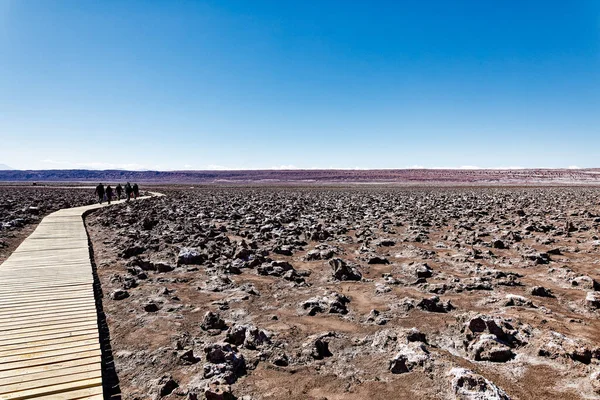 Landschaft Der Versteckten Baltinache Lagunen Atacama Wüste Chile lizenzfreie Stockbilder