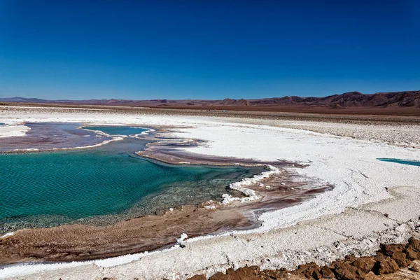 Paysage Des Lagunes Cachées Baltinache Désert Atacama Chili San Pedro Photos De Stock Libres De Droits
