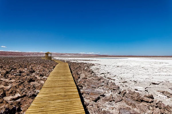 San Pedro Atacama Loa Region Antofagasta Chile Laguna Escondida Baltinache Stockfoto