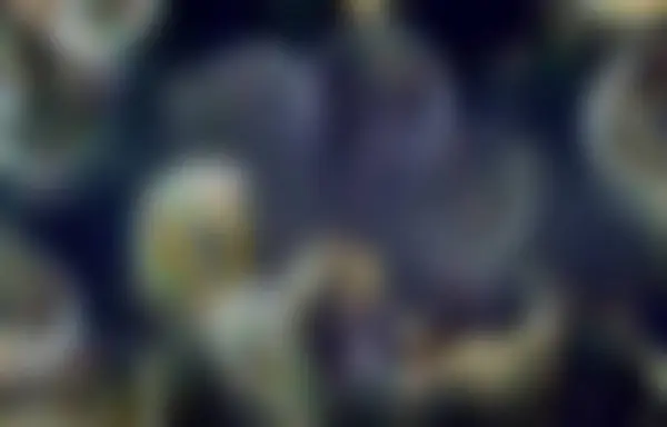 Bilgisayar Oluşturulmuş Arkaplan Grafikleri ve Dokuları