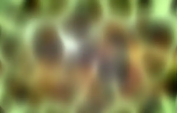 Bilgisayar Oluşturulmuş Arkaplan Grafikleri ve Dokuları