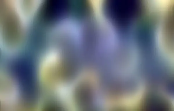 Bilgisayar Oluşturulmuş Arkaplan Grafikleri ve Dokuları