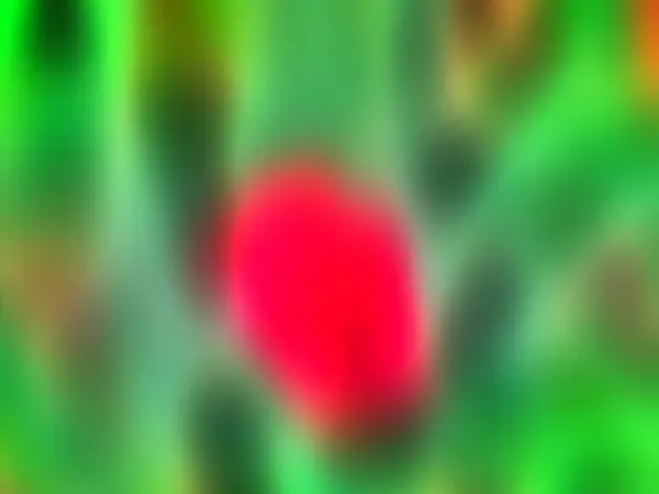 Bilgisayar Oluşturulmuş Arkaplan Grafikleri ve Dokuları