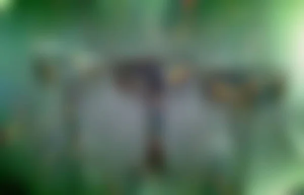 Bilgisayar Oluşturulmuş Arkaplan Grafikleri ve Dokuları